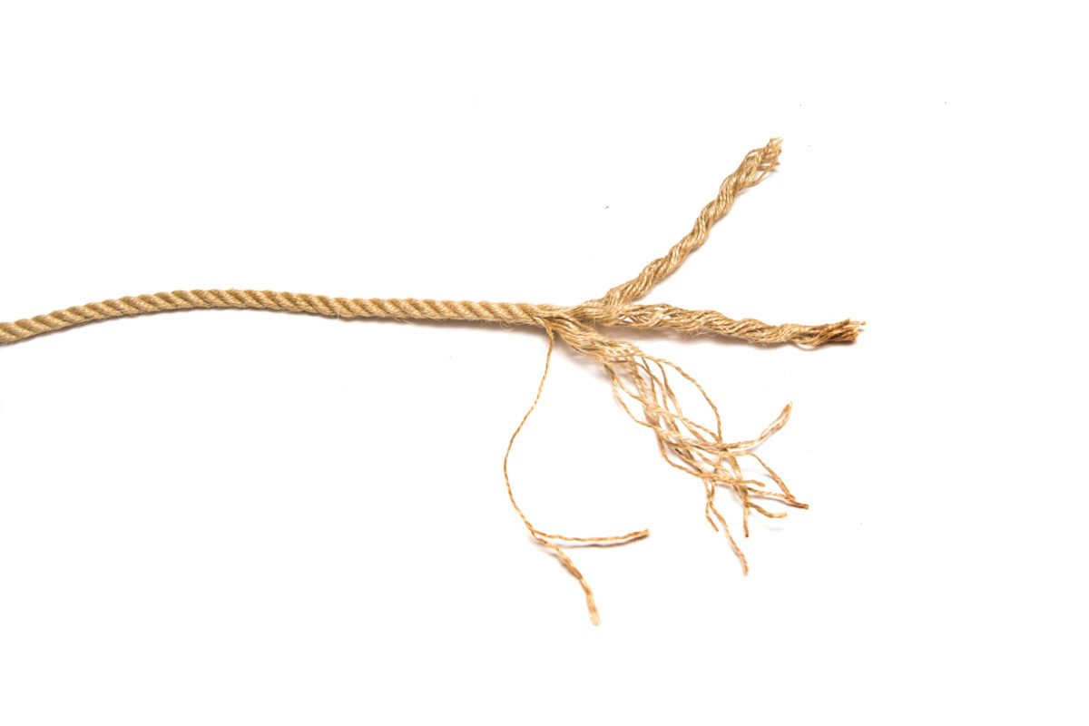 Ropes for bondage – La quarta corda International