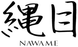 Logo Nawame per web